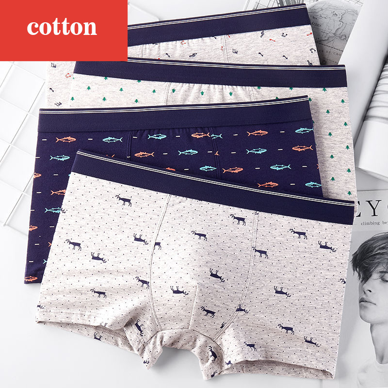 4 sztuk/partia bokserki bieliz – Boxer Brief Pack Cotton recenzja i cena