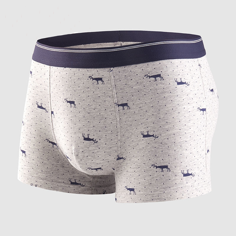 4 sztuk/partia bokserki bieliz – Boxer Brief Pack Cotton recenzja i cena